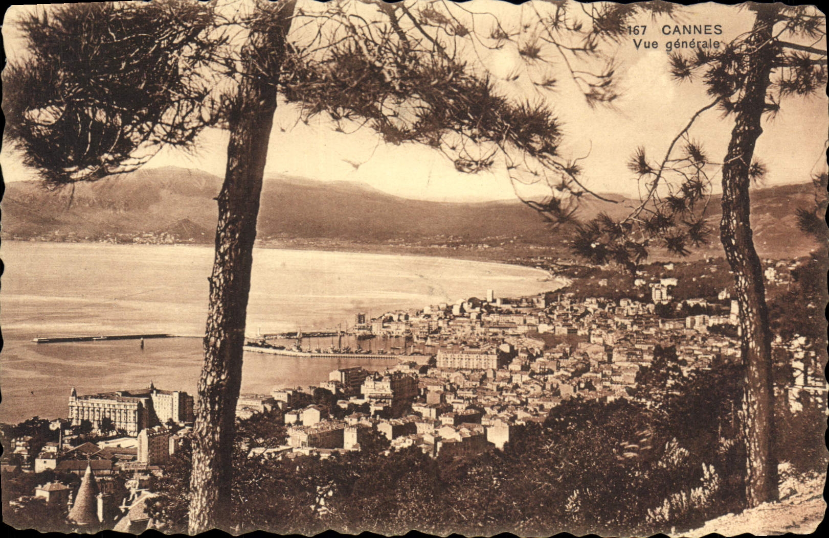 VINTAGE POSTCARD Cannes View