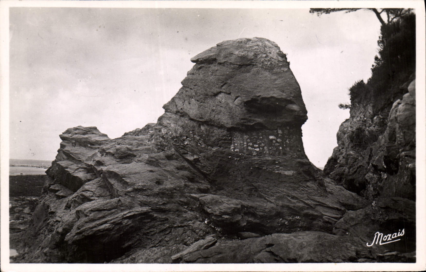 CPM La Bernerie Le Rocher De Roche Grise