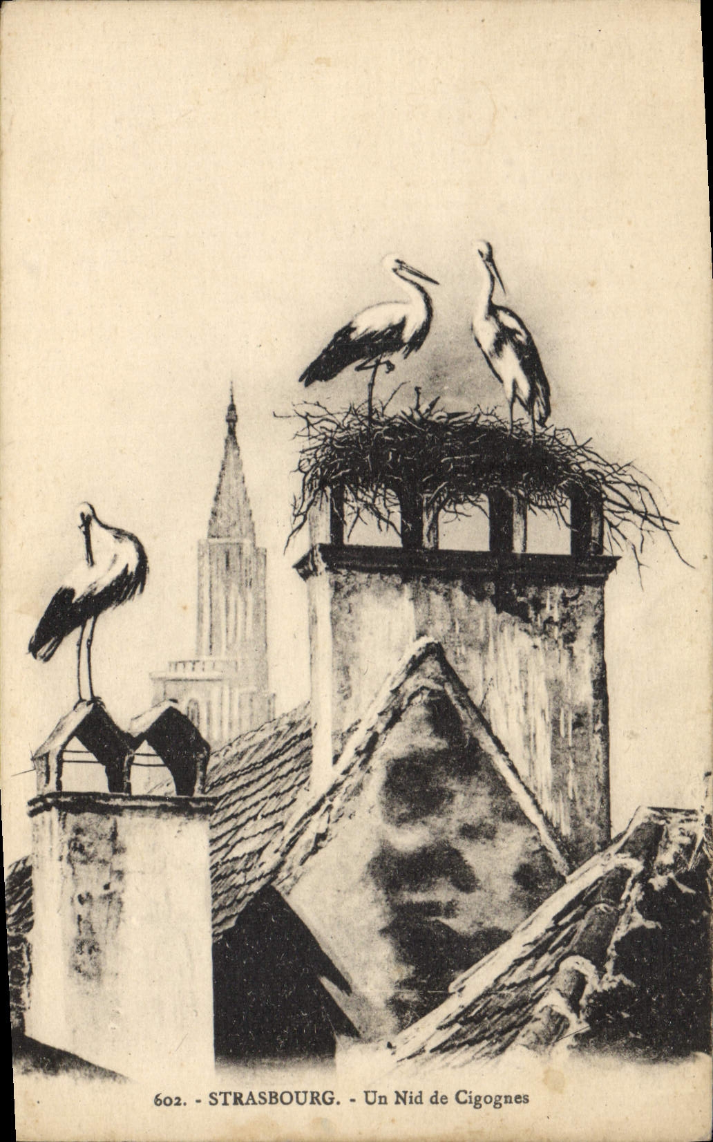 POSTAL Estrasburgo de la VENDIMIA una jerarquía de cigüeñas