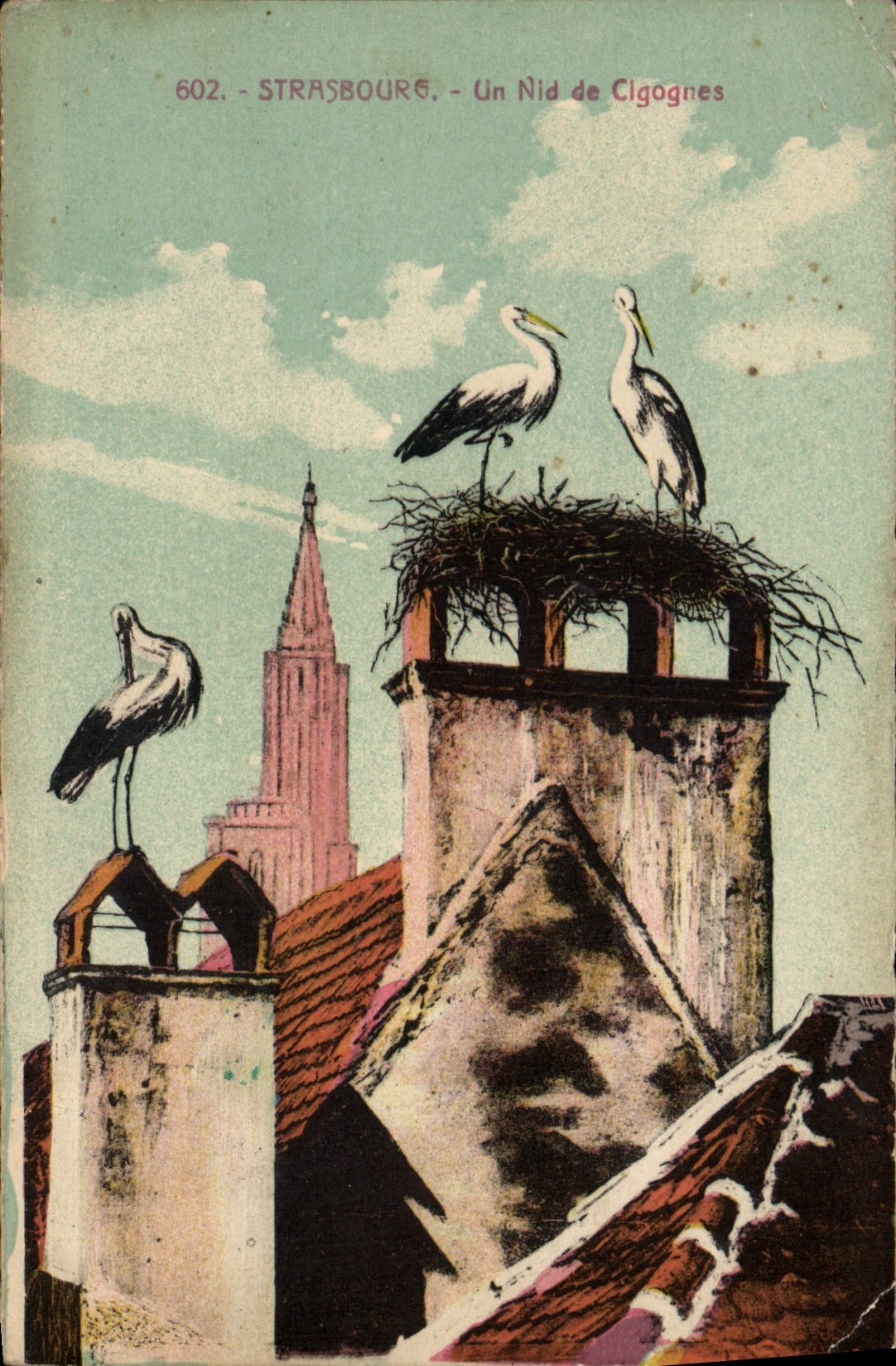 POSTAL Estrasburgo de la VENDIMIA una jerarquía De Clgognes