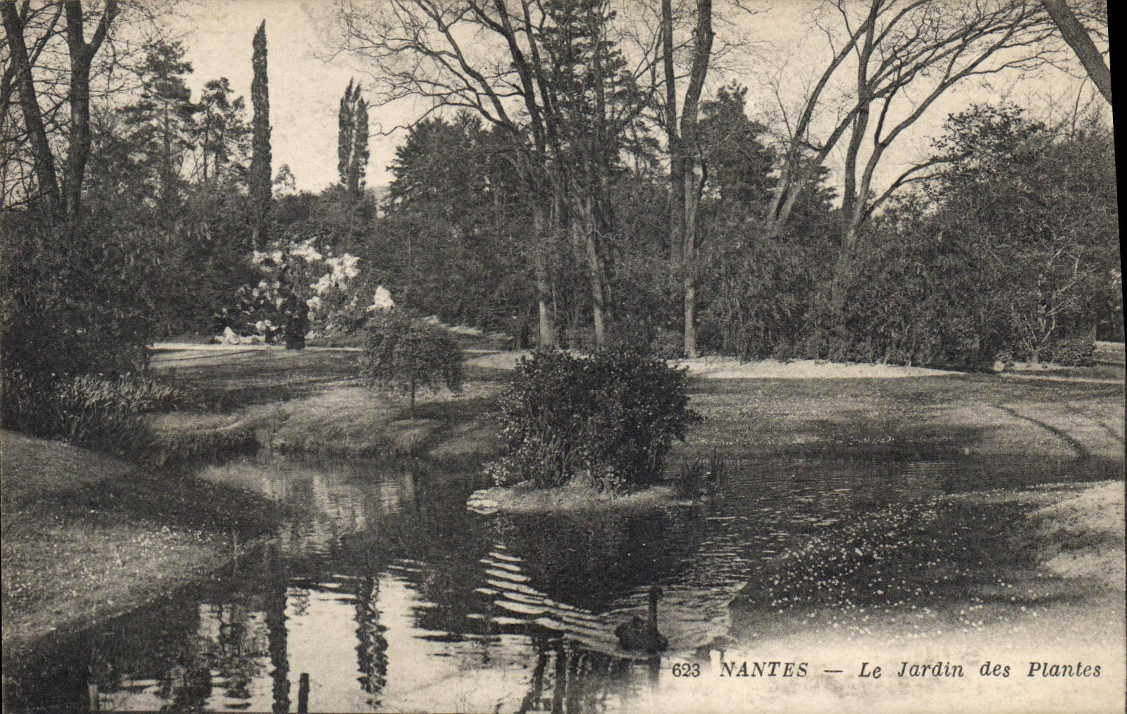 VINTAGE POSTCARD Nantes the Botanical garden
