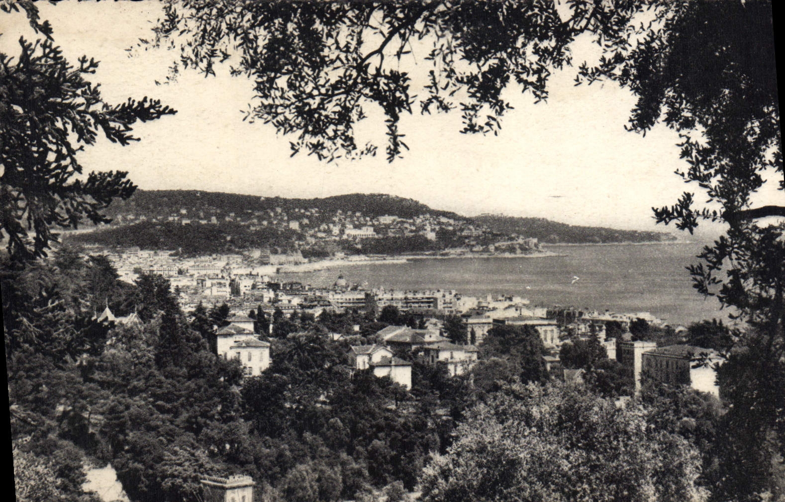 POSTAL Niza vista De Bellet de la VENDIMIA