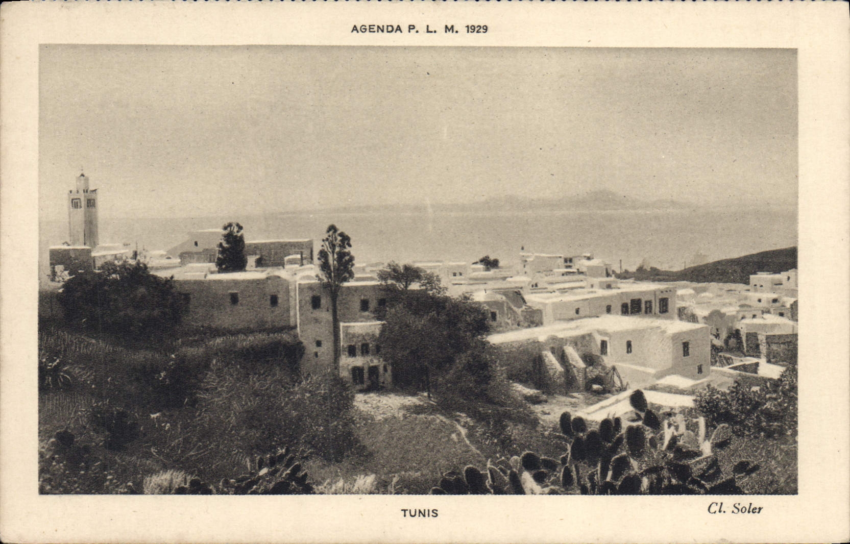 POSTAL Túnez de la VENDIMIA