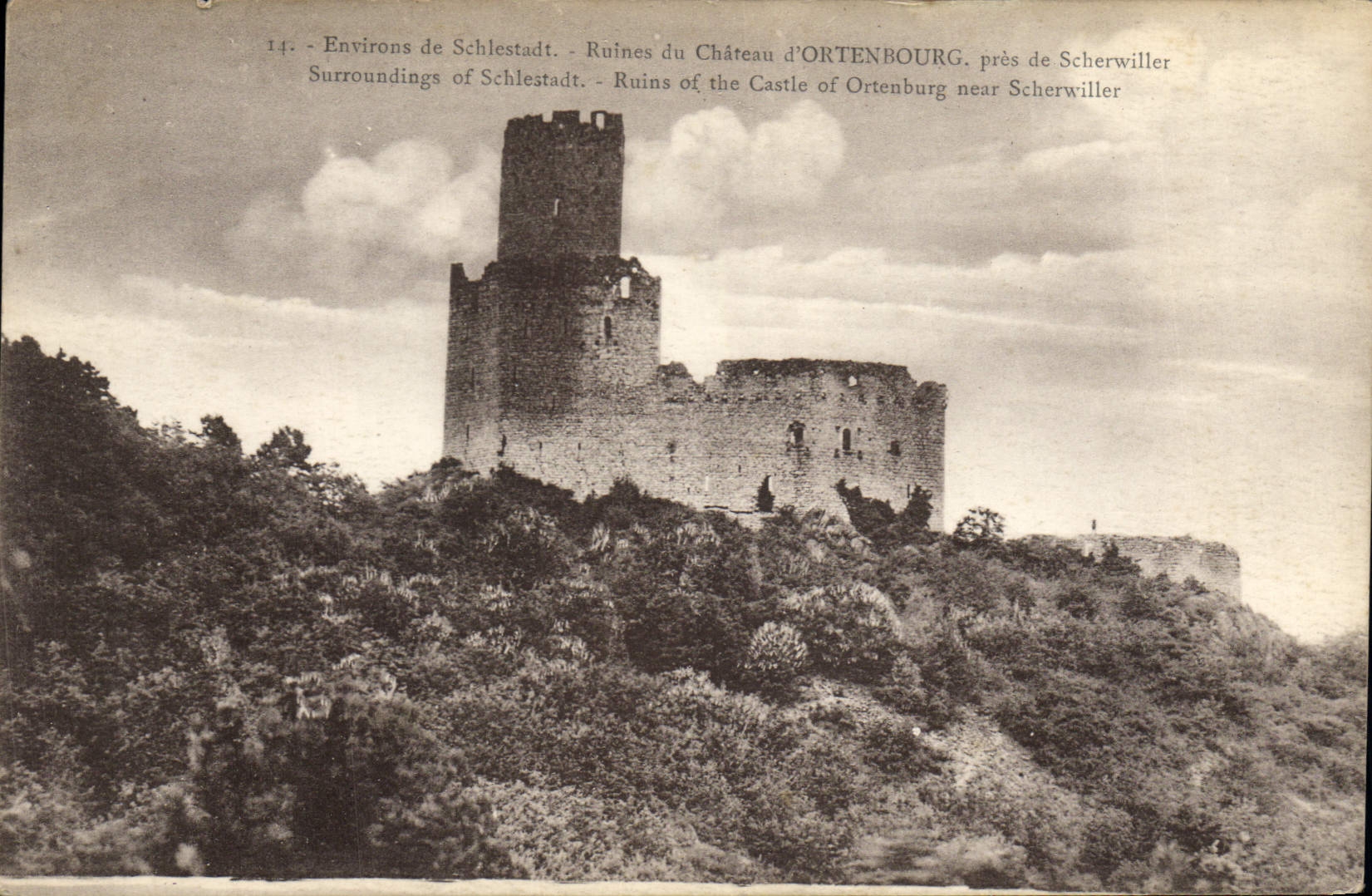 VINTAGE POSTCARD Ruins Of the Castle D' Ortenbourg Close De Scherwiller