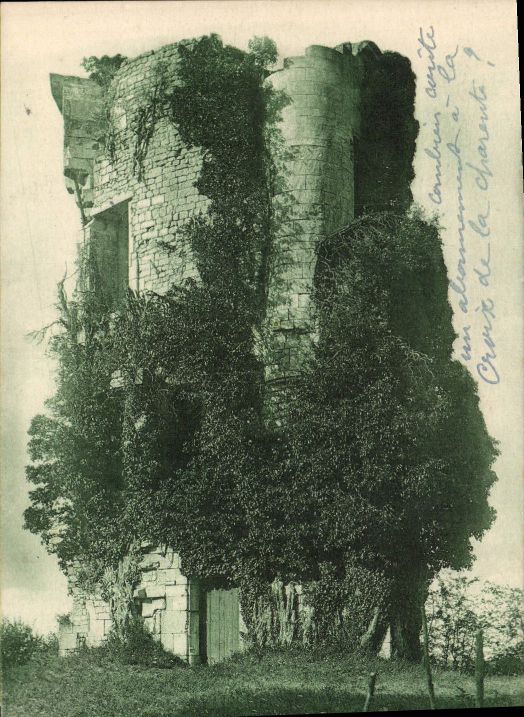 Vestigios de Taillebourg de la POSTAL de la VENDIMIA de los alrededores del castillo de Saintes