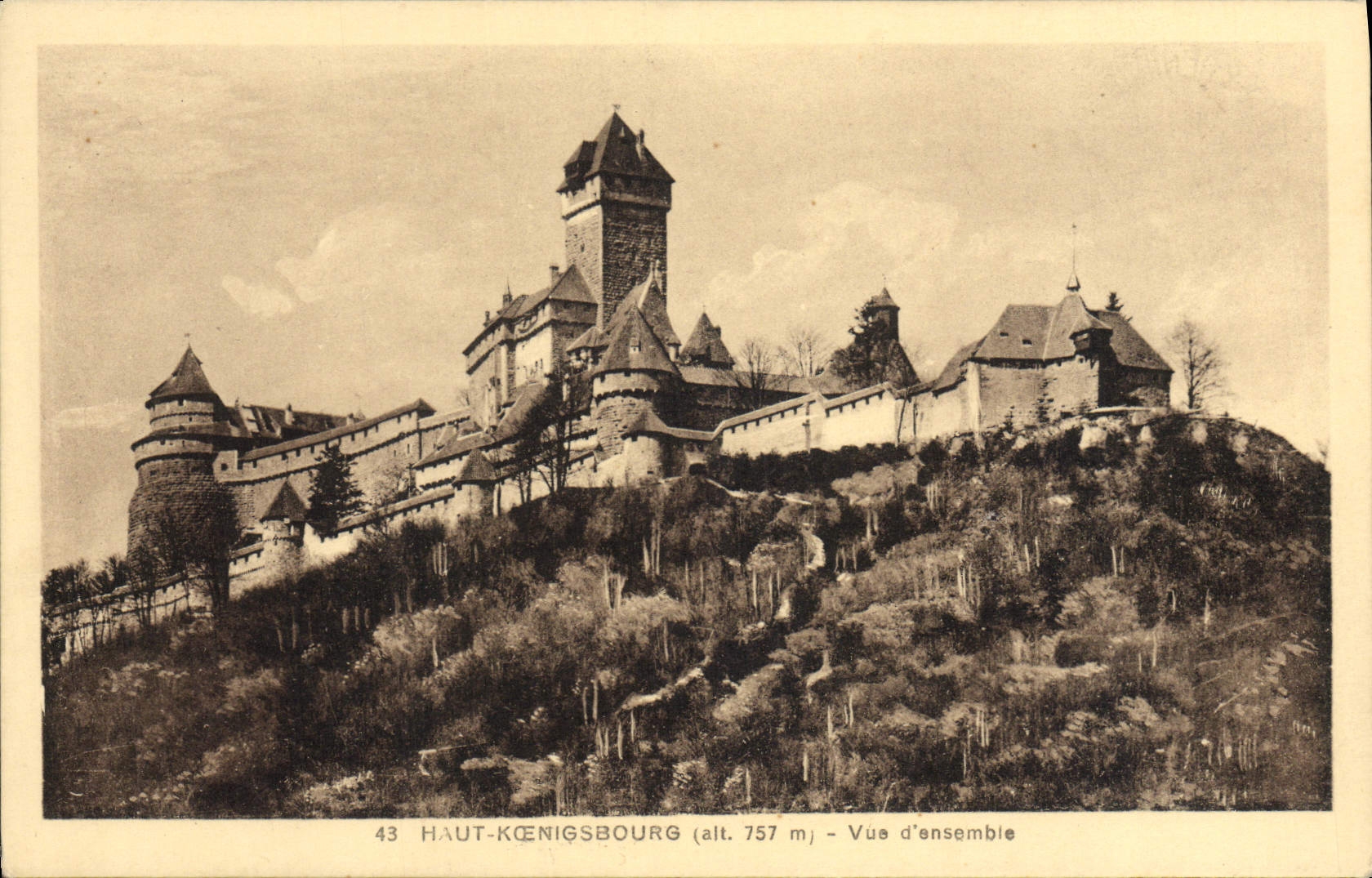 POSTAL alto E visto Koenigsbourg Ansemble de la VENDIMIA