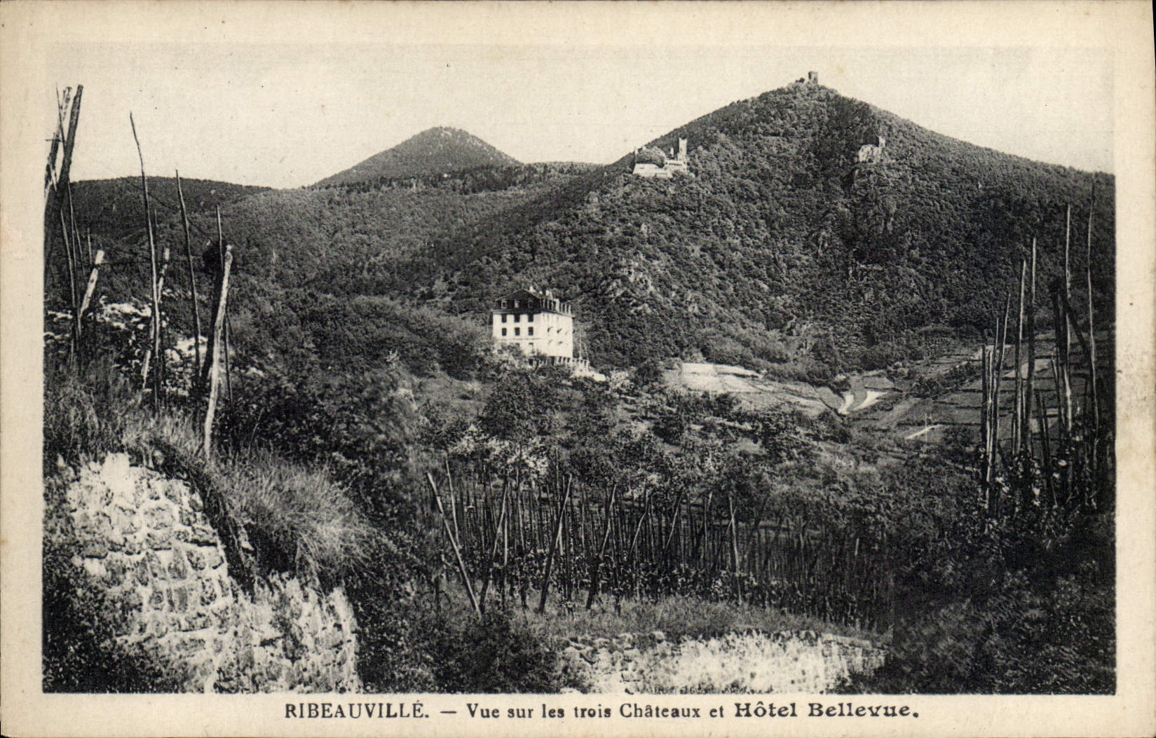 VINTAGE POSTCARD Ribeauville Seen On the Three Castles And Bellevue Hotel