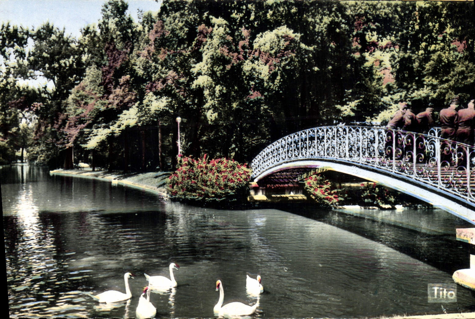 CPM Bordeaux La Riviere Du Jardin Public Cygnes