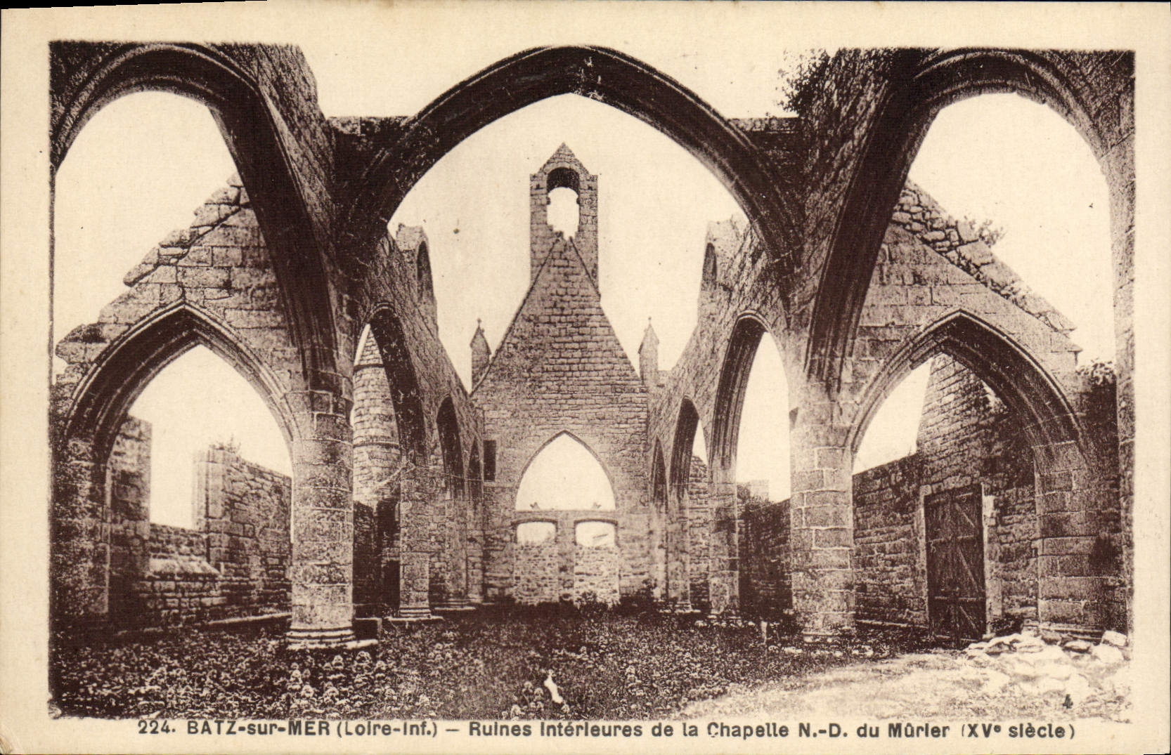 VINTAGE POSTCARD Bata On Sea Interior Ruins of the Vault ND of the Mulberry tree