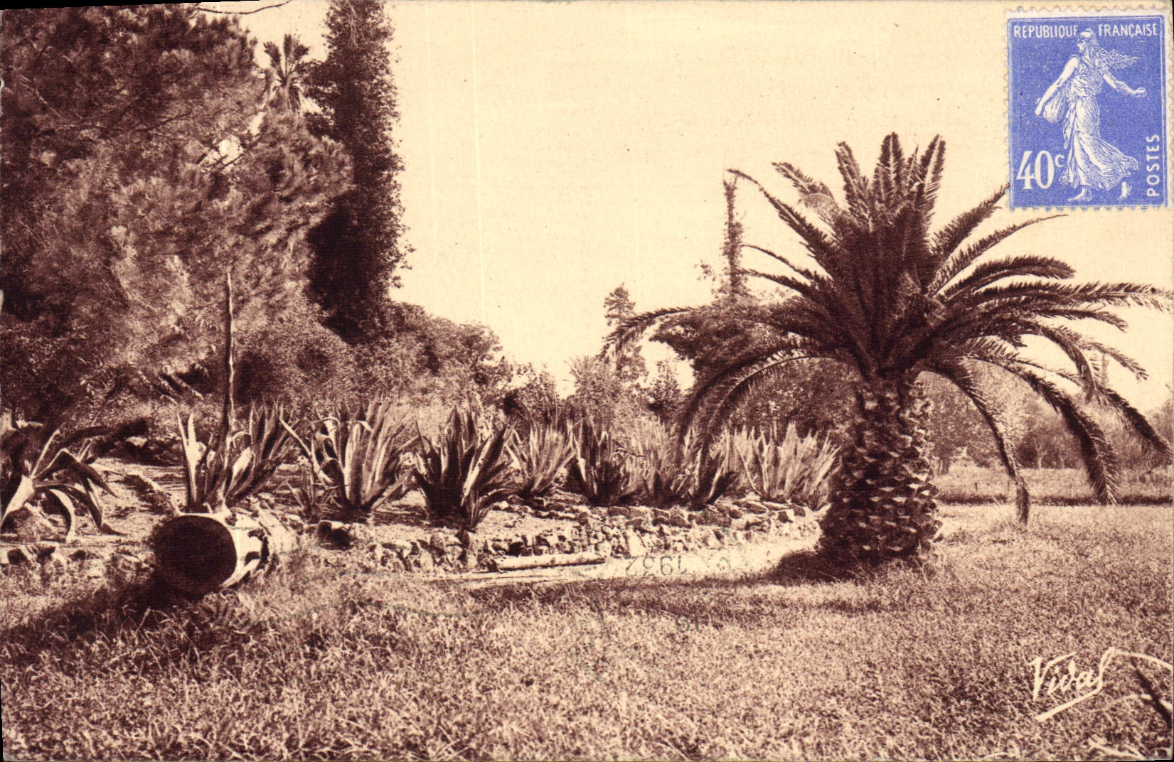 CPA Hyeres Jardin Olbius Riquier Type de la flore locale