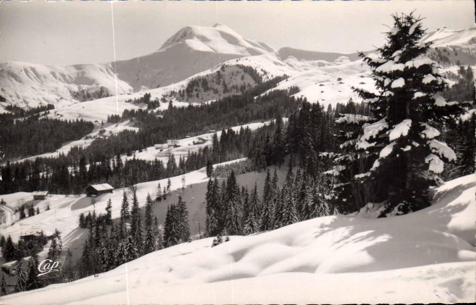 CPM Le Mont d'Arbois Le Mont Joly les pistes de la Croix et des Communailles