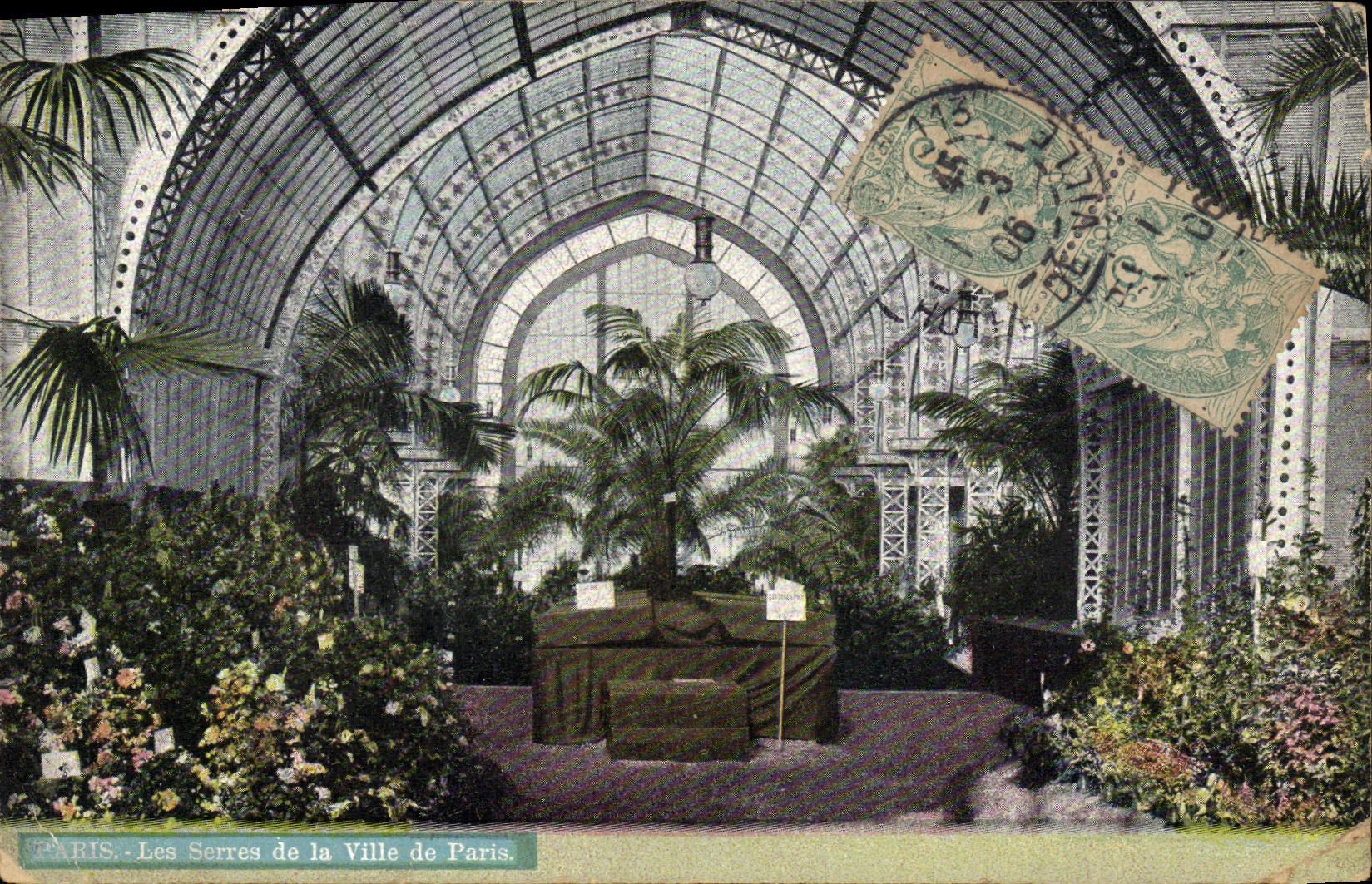 VINTAGE POSTCARD Paris greenhouses of the town of Paris