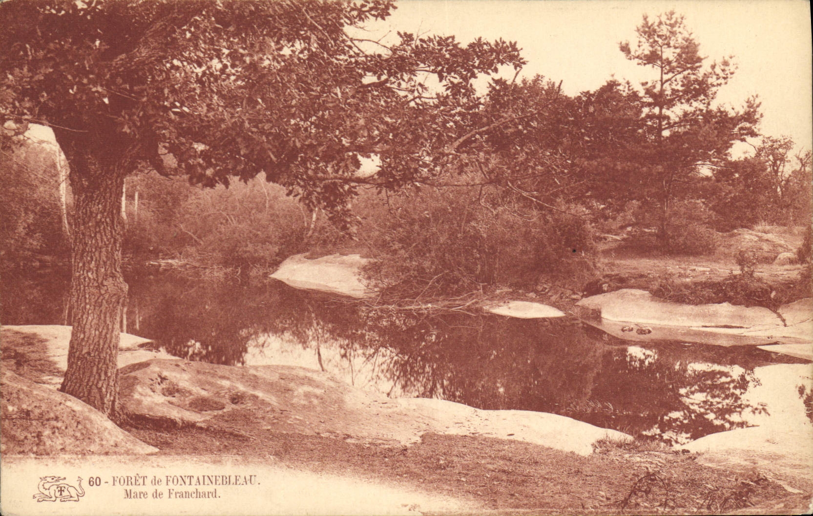 VINTAGE POSTCARD Drill Fontainebleau Pond of Franchard