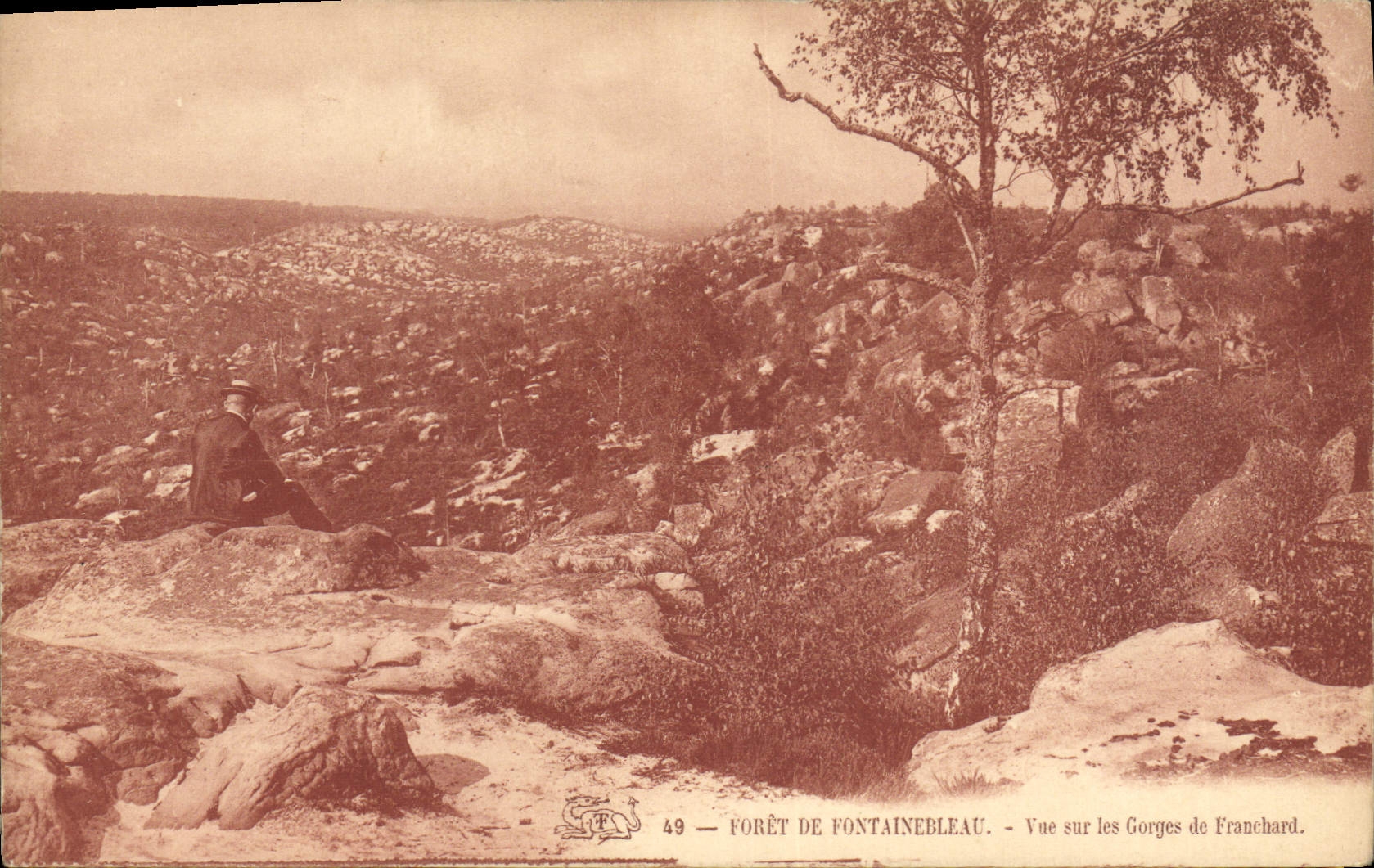 CPA Foret Fontainebleau Vue sur les Gorges de Franchard