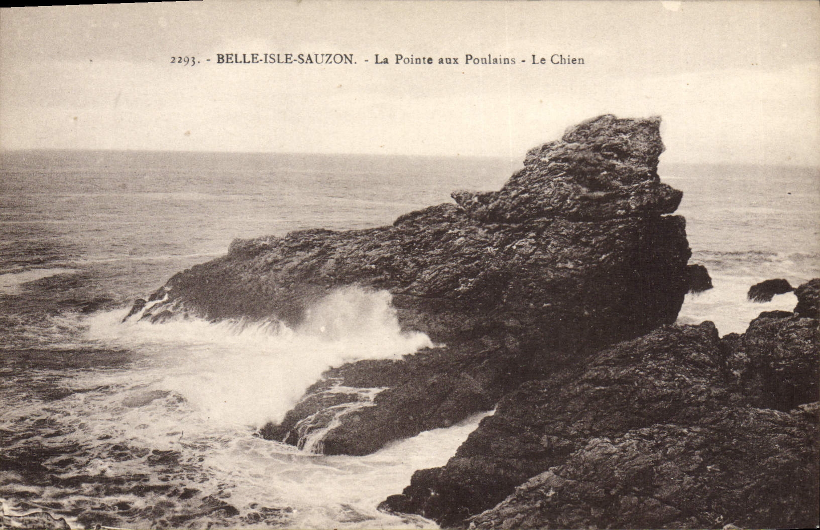 VINTAGE POSTCARD Beautiful Isle Sauzon the Point with the Foalta the dog