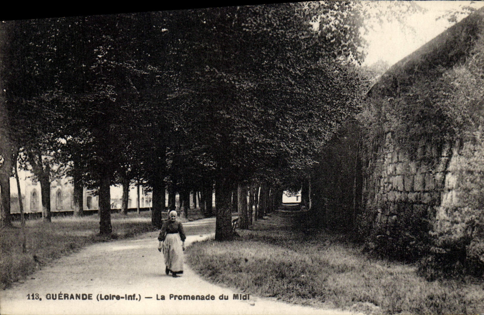 CPA Guerande La Promenade du Midi
