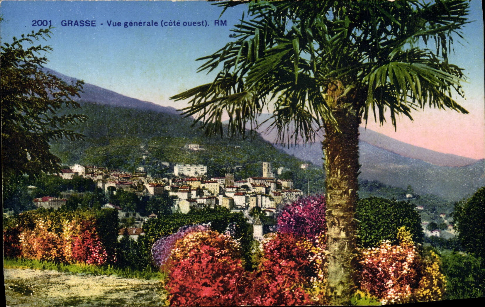 Opinión grasa de la POSTAL de la VENDIMIA