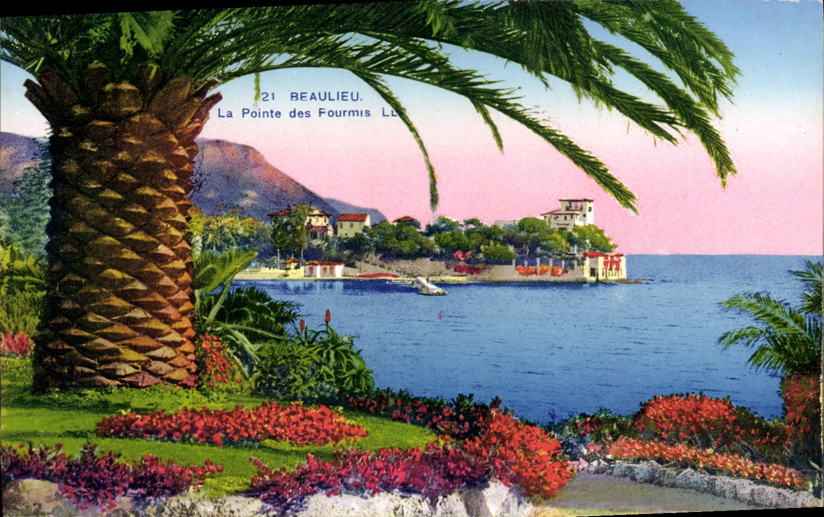 VINTAGE POSTCARD Beaulieu the Point of the Ants