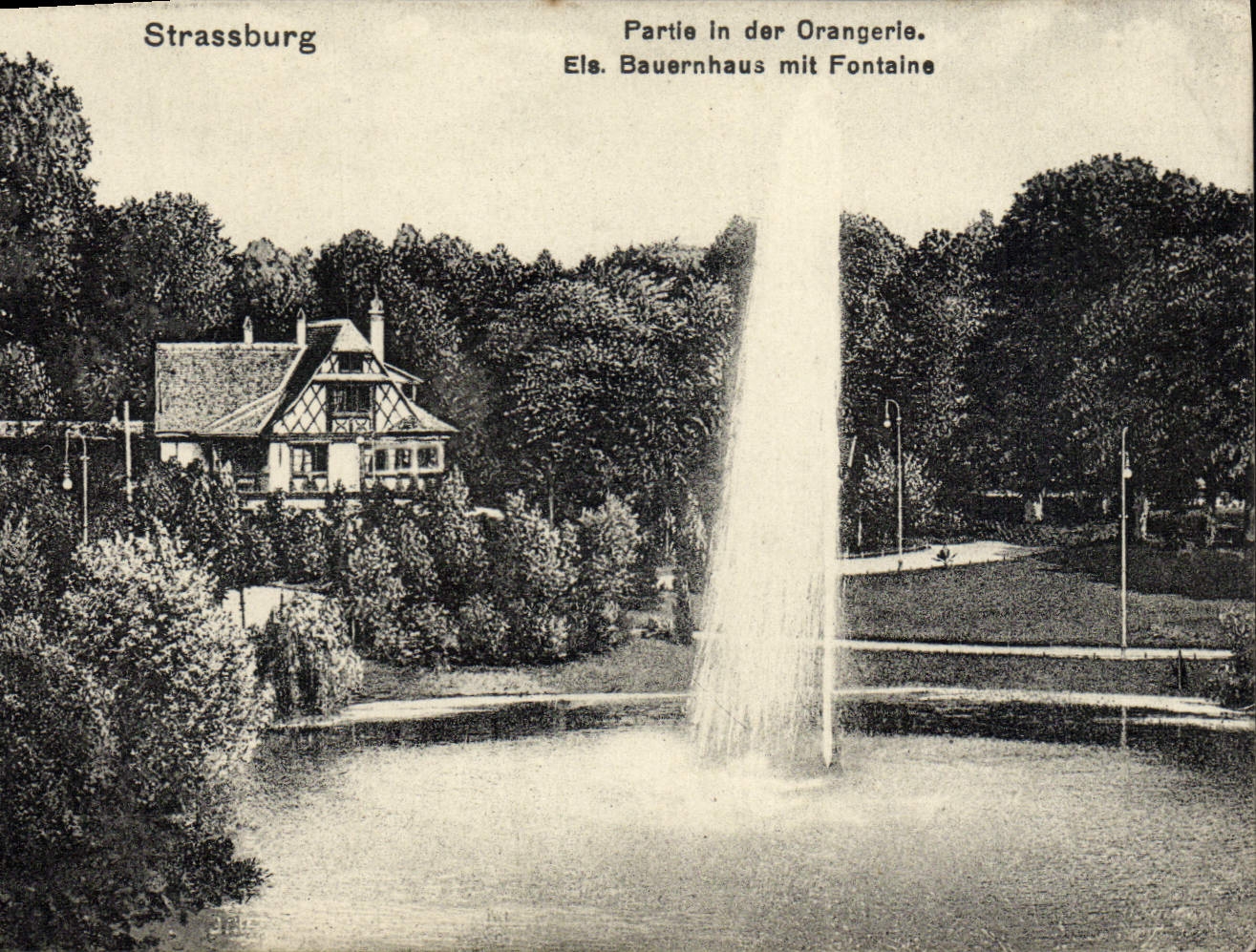 POSTAL Estrasburgo de la VENDIMIA salida en naranjal de DER