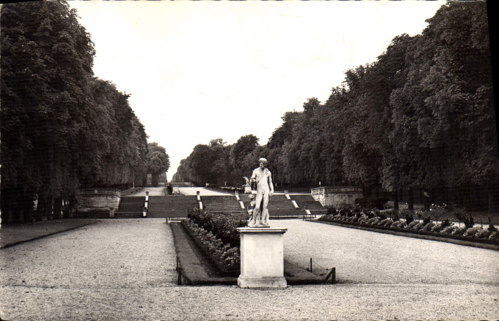 CPM Le Parc Saint Cloud l'Allee des Statues