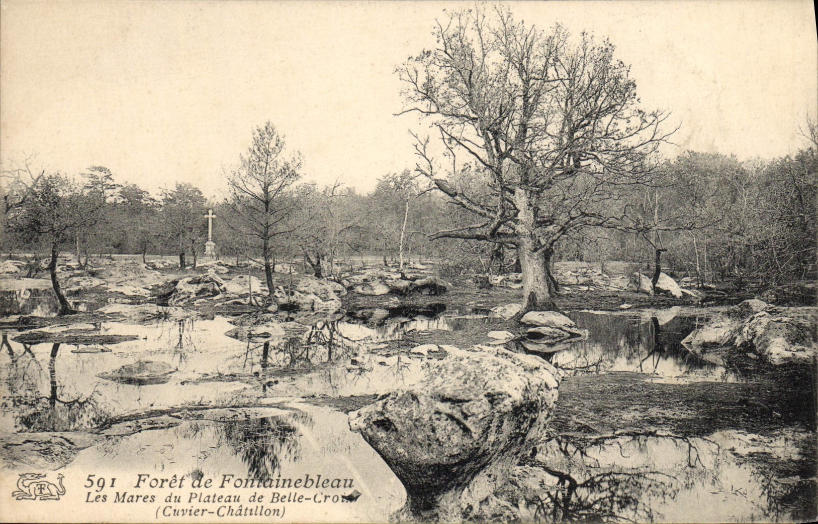 CPA Foret De Fontainebleau Les mares du plateau de Belle Croix Cuvier Chatillon