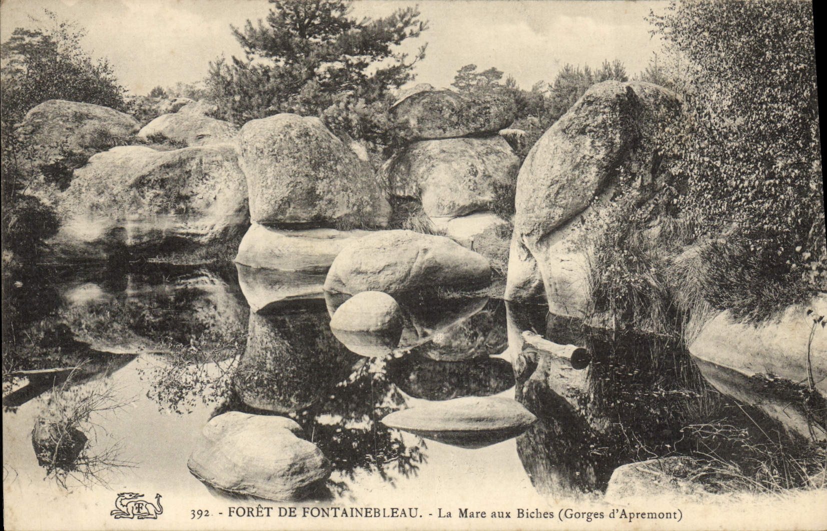 CPA Foret De Fontainebleau La Mare aux Biches Gorges d'Apremont