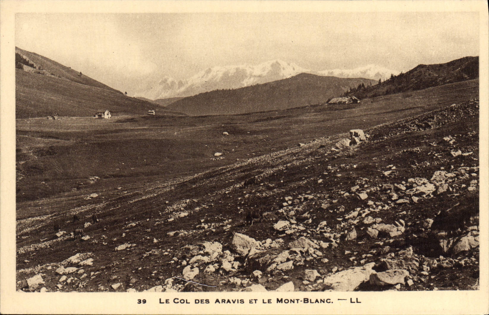 VINTAGE POSTCARD the Collar Of Aravis And Mont Blanc