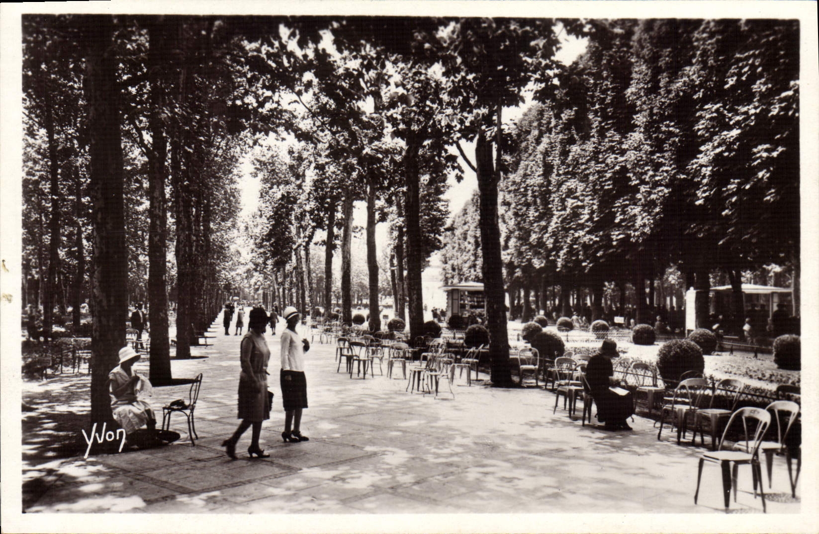 VINTAGE POSTCARD Vichy an Alley Of the Park Of the Sources