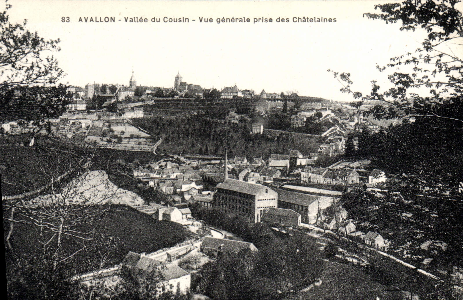 VINTAGE POSTCARD Avallon Cousin the Bridge View taken of the Ladies of the manor