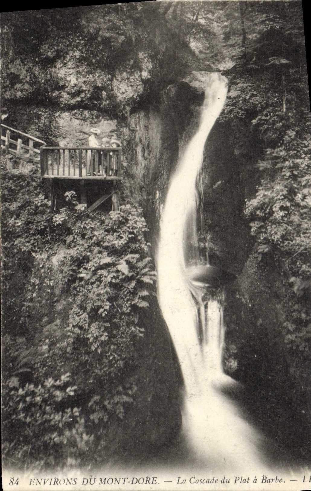 Los alrededores de la POSTAL de la VENDIMIA del montaje doran la cascada de la falsificación tienen lengüeta