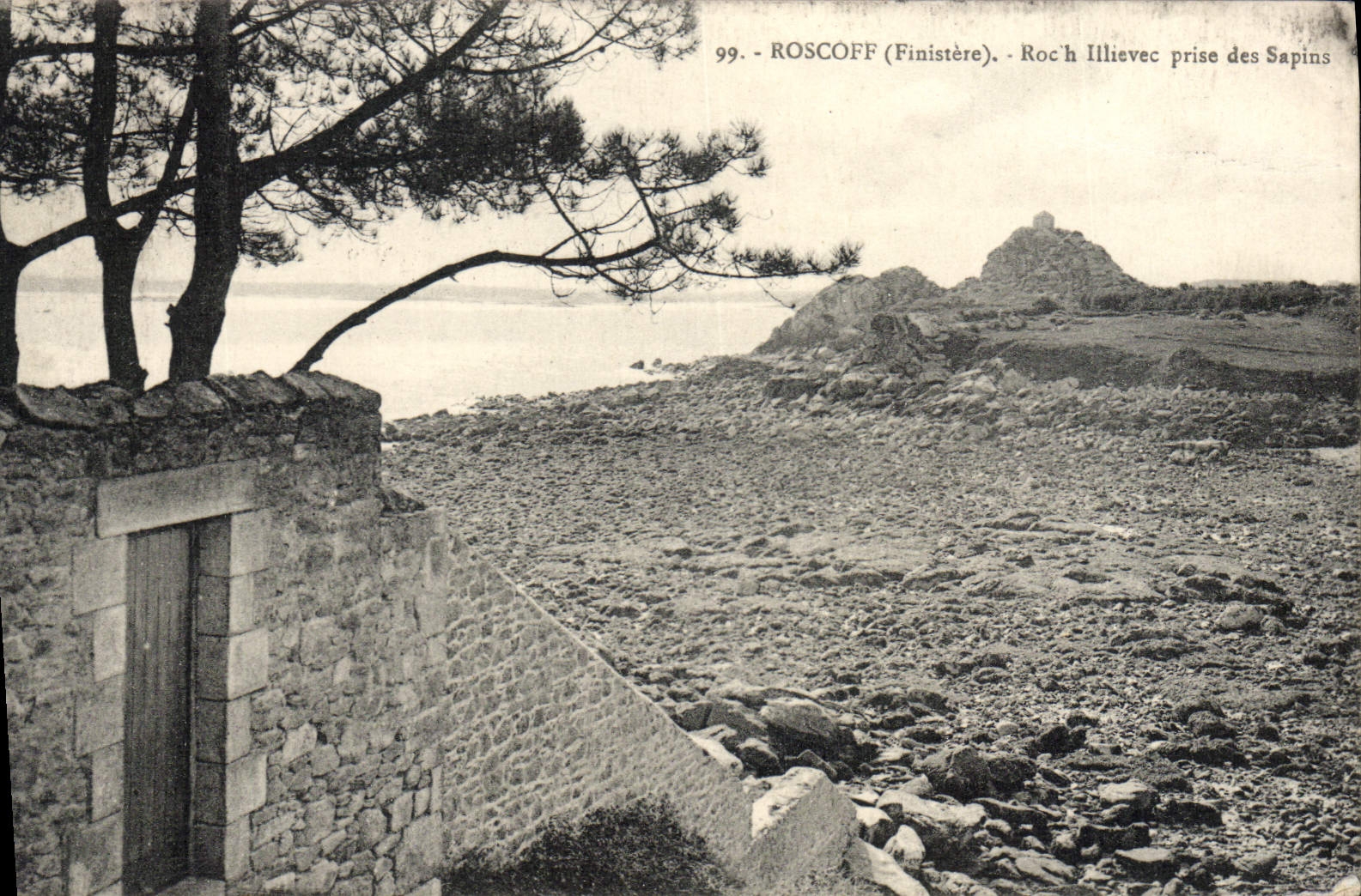VINTAGE POSTCARD Roscoff Roc' H Illievec Taken Of the Fir trees