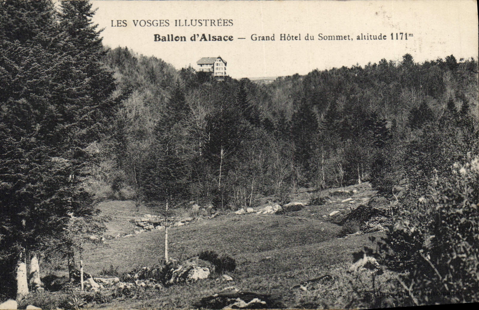 Globo de la POSTAL de la VENDIMIA del hotel grande de Alsacia de la cumbre