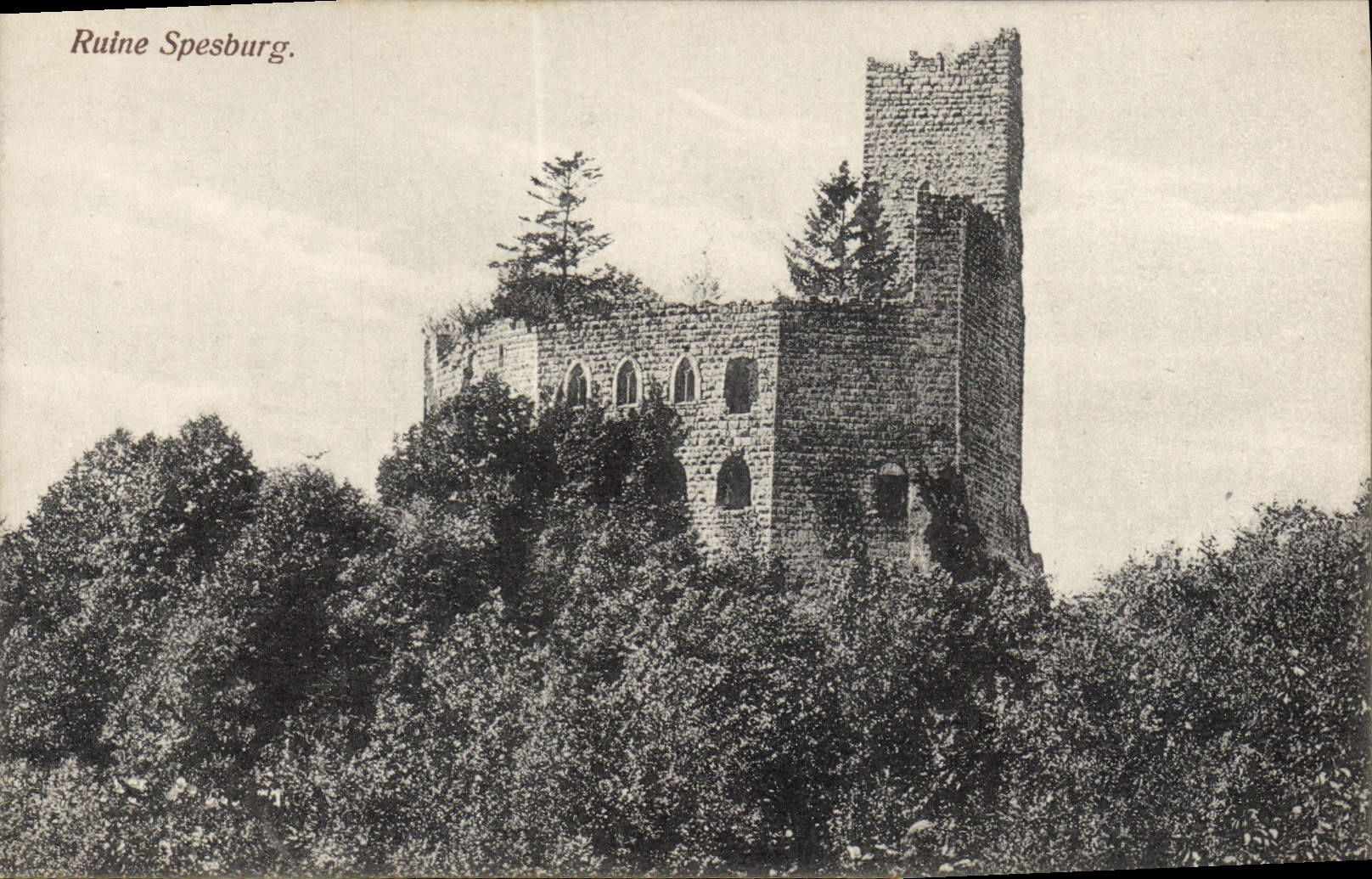 Ruina de Spesburg de la POSTAL de la VENDIMIA
