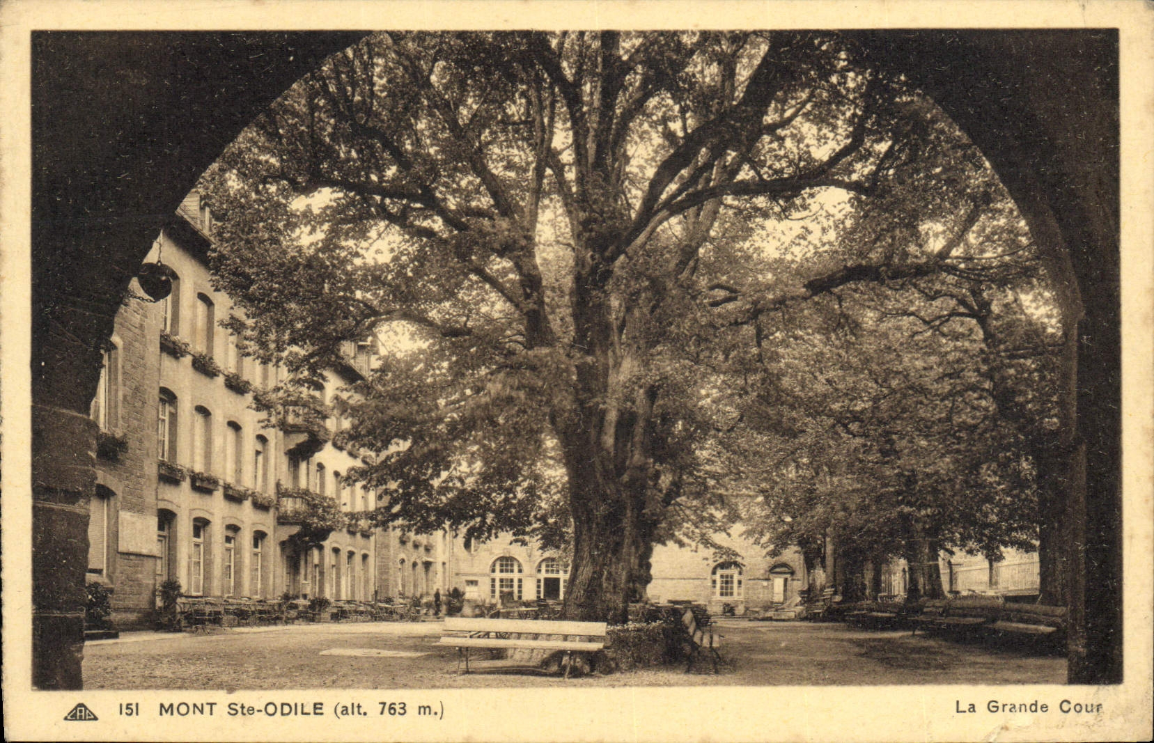 VINTAGE POSTCARD Mount co. Odile large court