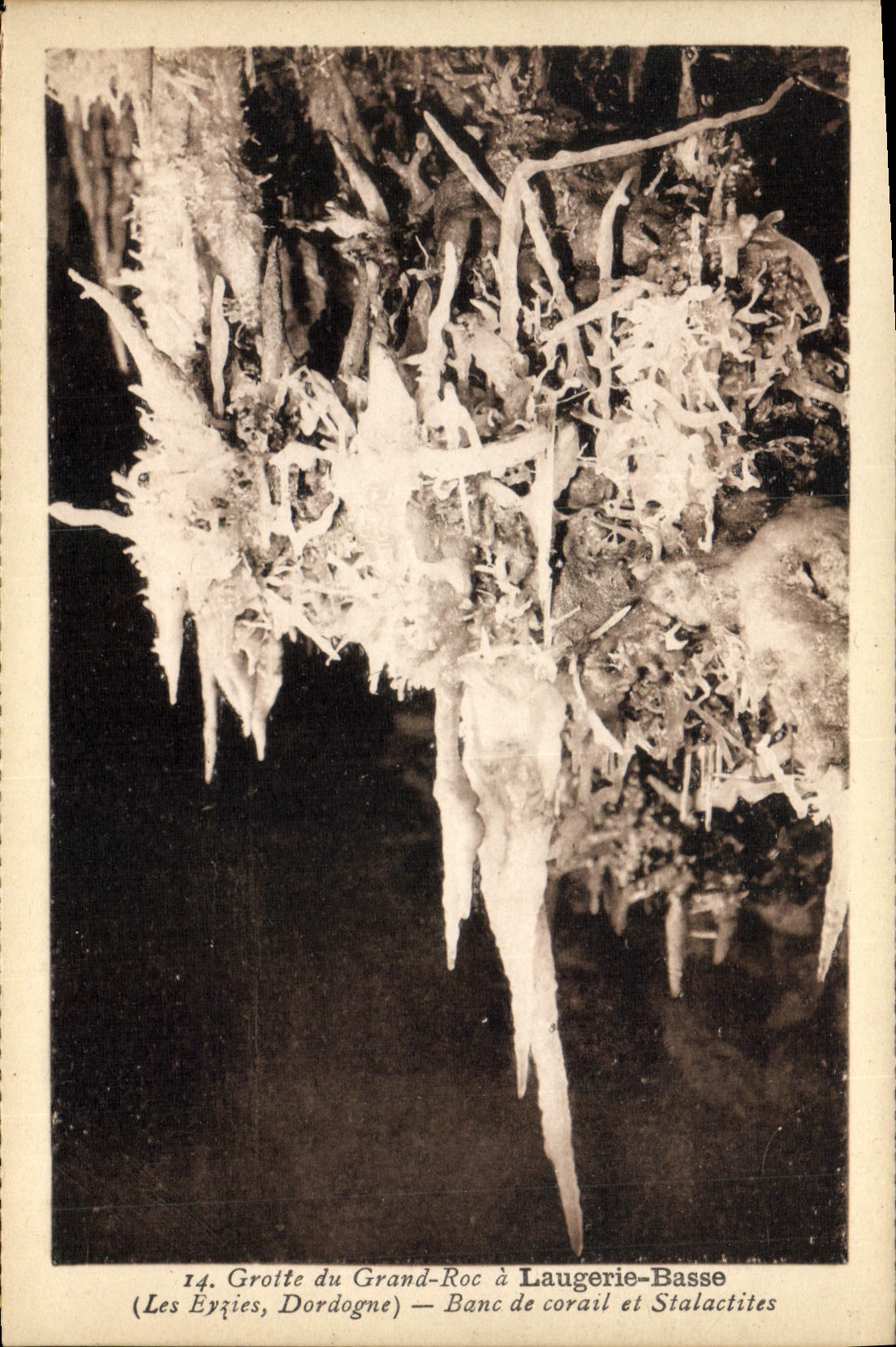 La POSTAL Grotte de la VENDIMIA de la roca grande tiene banco de Laugerie Basse del coral y de las estalactitas