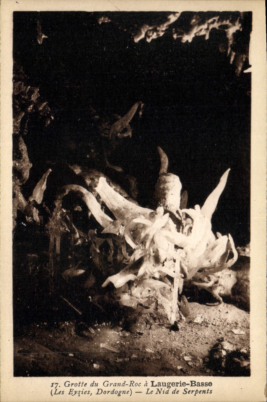CPA Grotte du Grand Roc a Laugerie Basse Le nid de serpents
