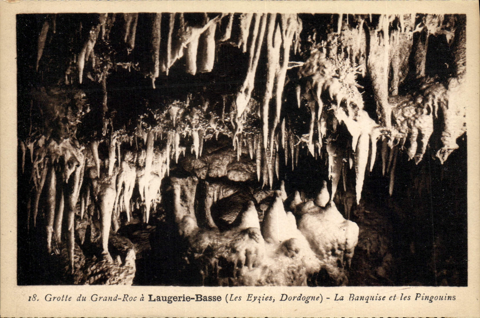 CPA Grotte du Grand Roc a Laugerie Basse La banquise et les pingouins