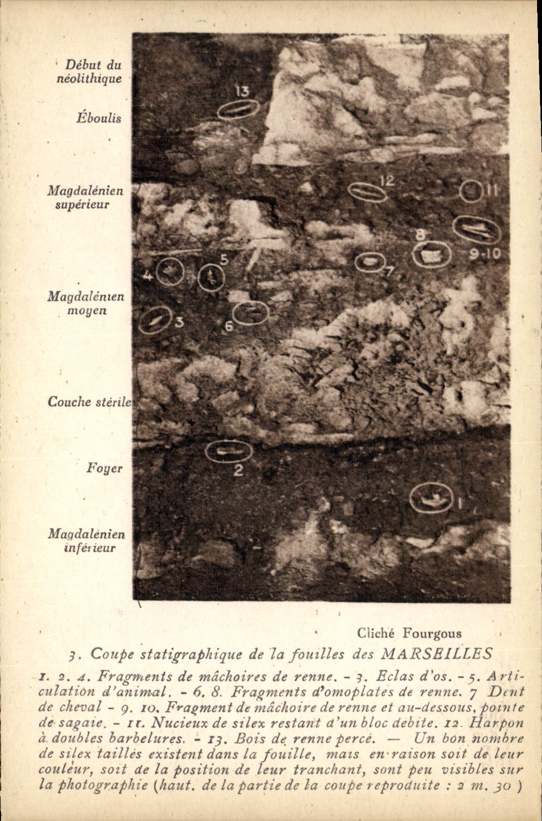 CPA Marseilles Fragments De Machoires De Renne