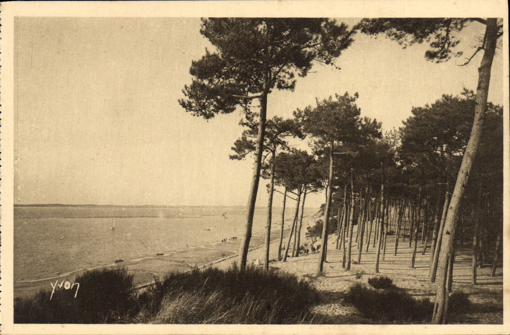 CPA Arcachon Moulleau Le Parc Des Abatilles