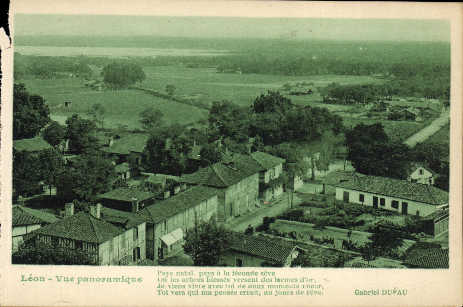 CPA Leon Vue Panoramique