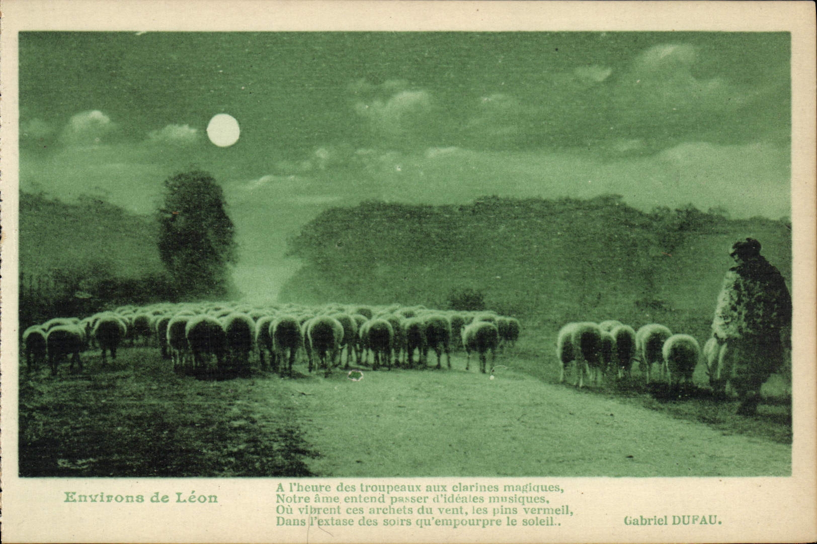 CPA Environs de Leon Berger et moutons