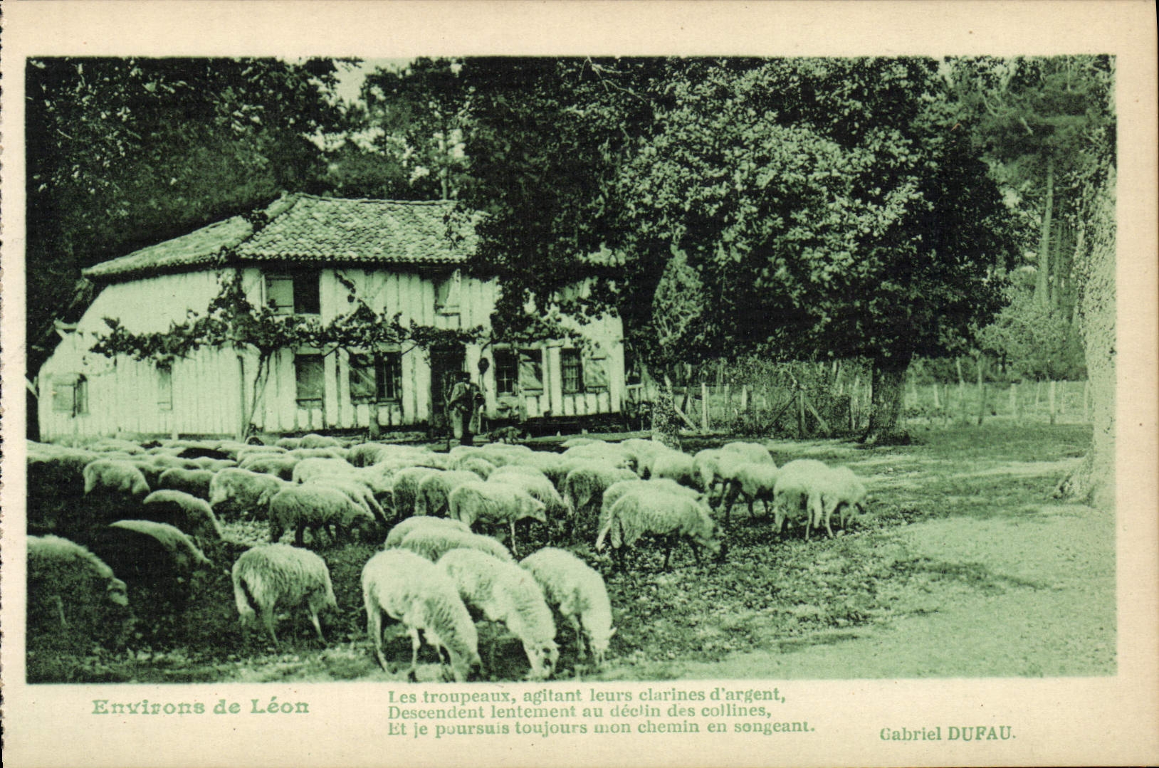 CPA Environs de Leon Moutons 