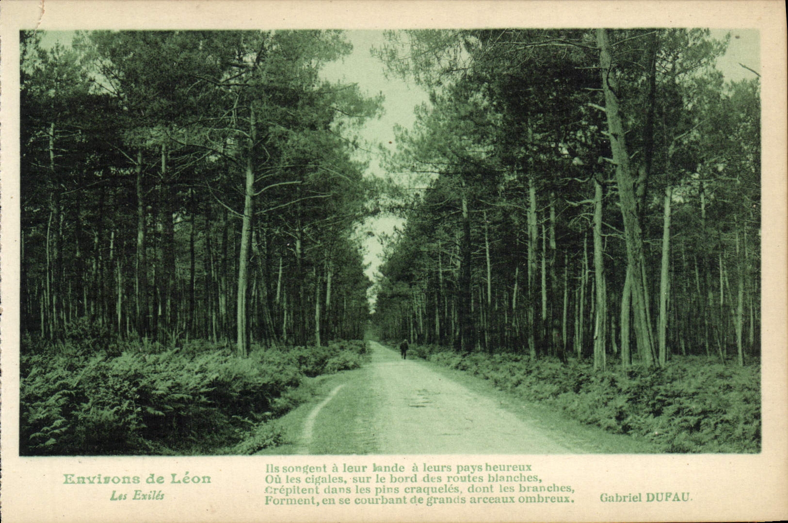 VINTAGE POSTCARD Environs of Leon exile Them