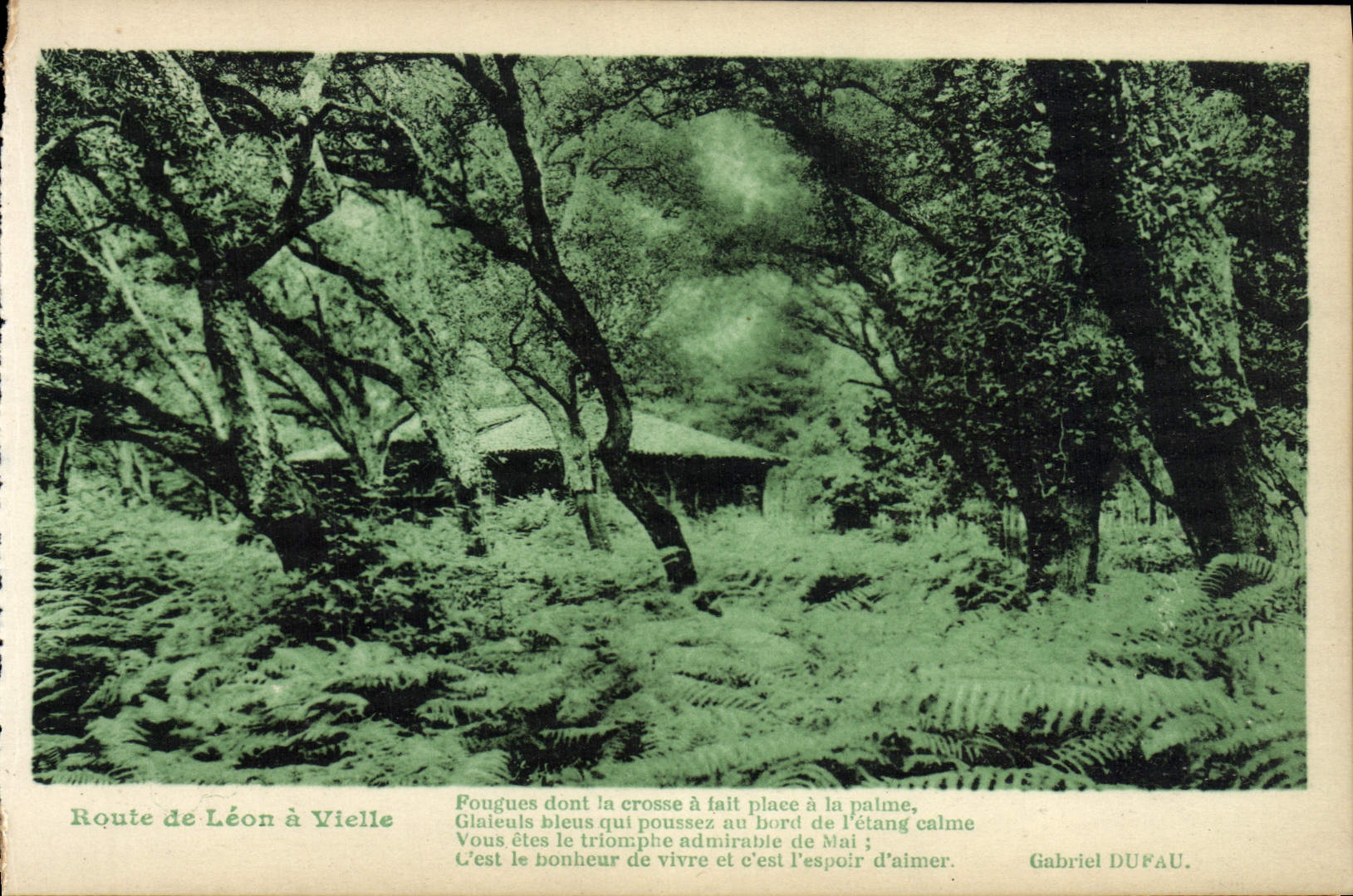 CPA Route de Leon a Vielle 