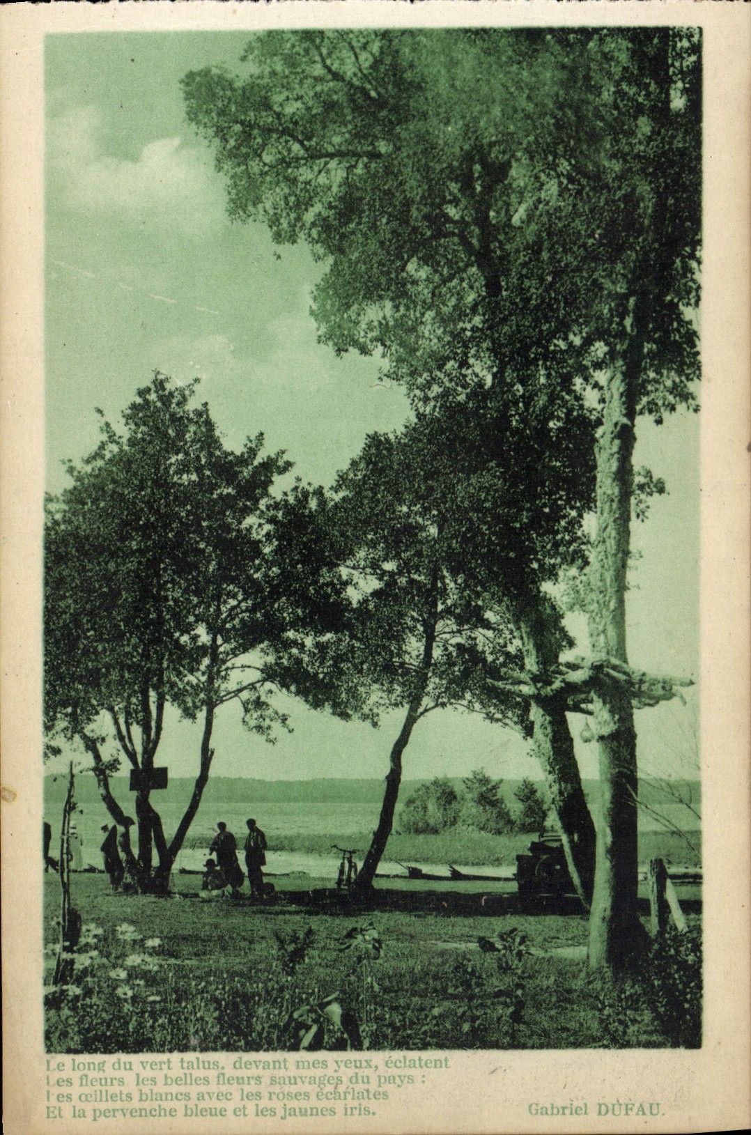 VINTAGE POSTCARD Leon Along the green slope