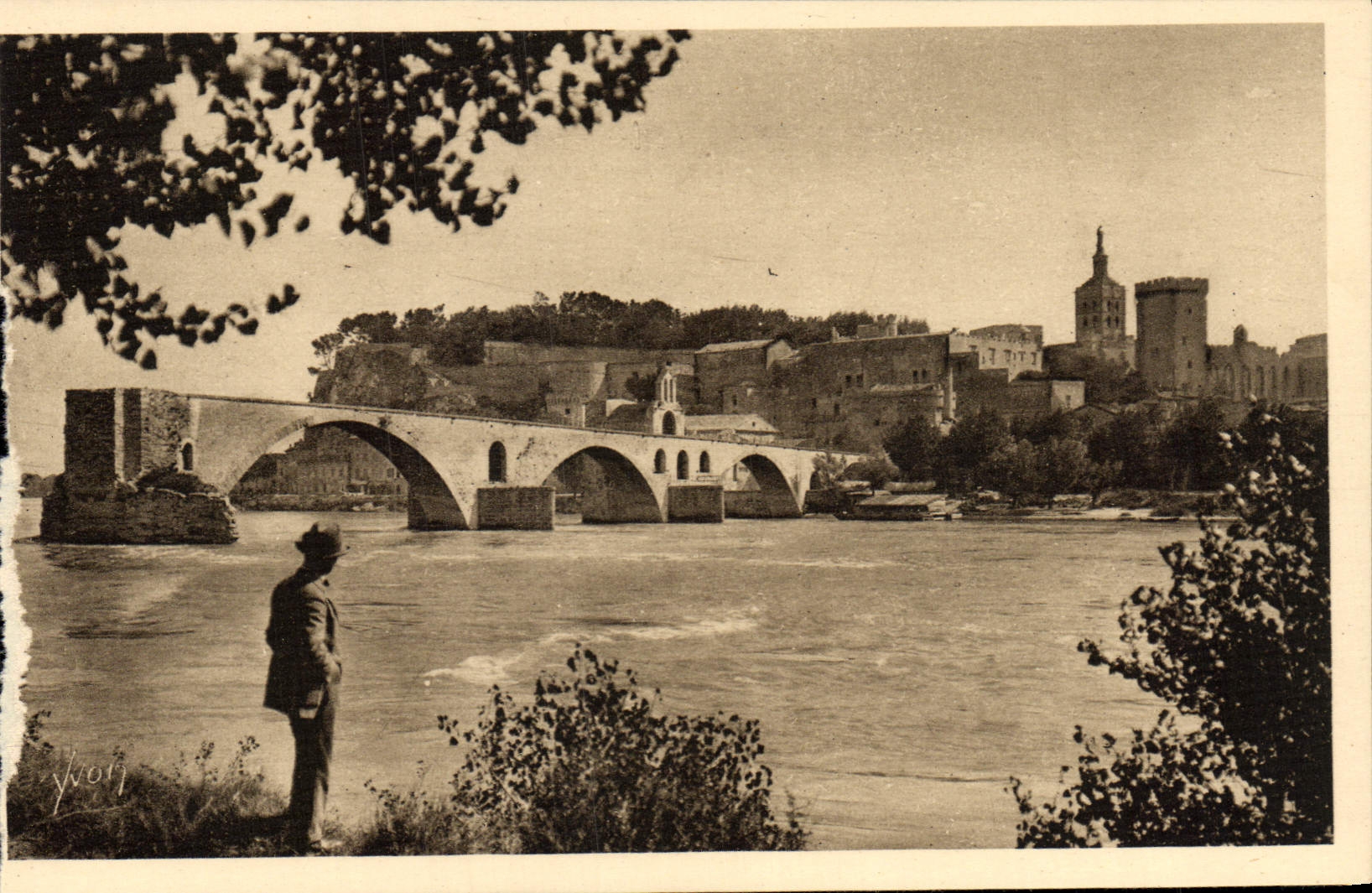 POSTAL Avignon de la VENDIMIA el puente santo Benezet y el Rhone