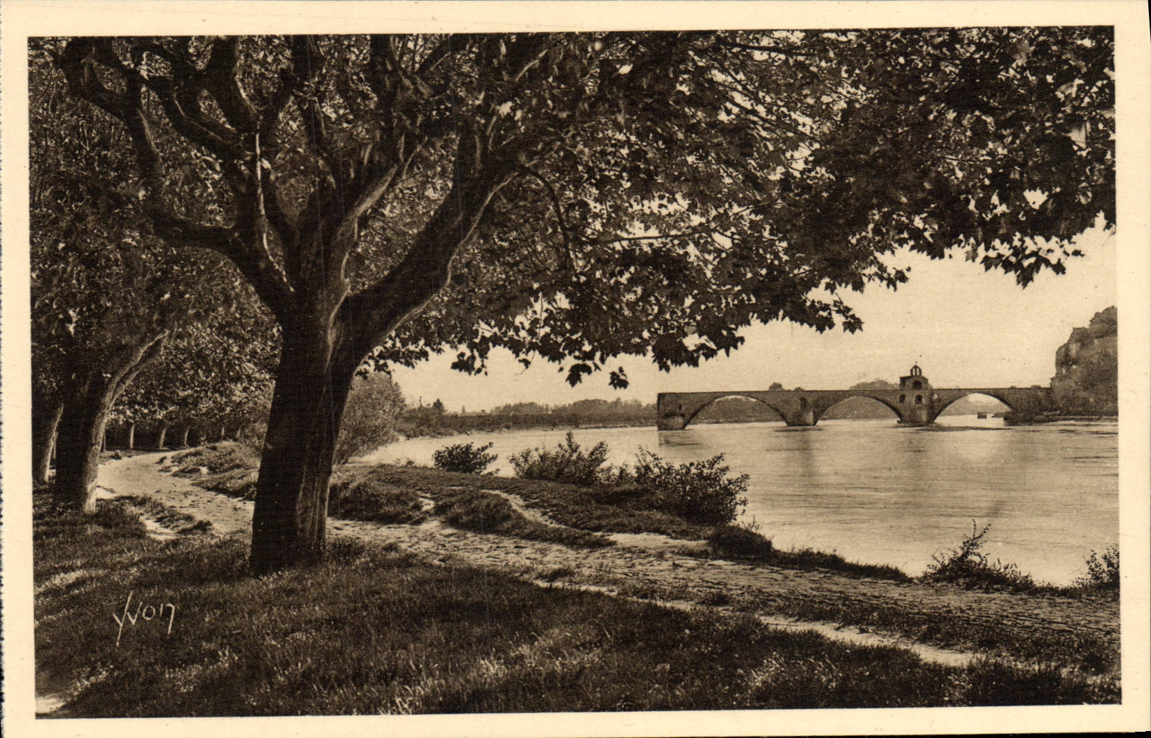 POSTAL Avignon de la VENDIMIA el Rhone y el puente santo Benezet