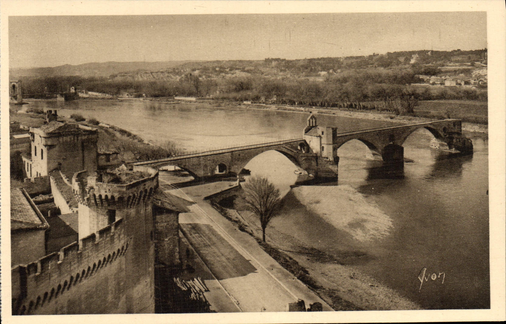 Opinión de Avignon de la POSTAL de la VENDIMIA sobre el banco derecho del Rhone