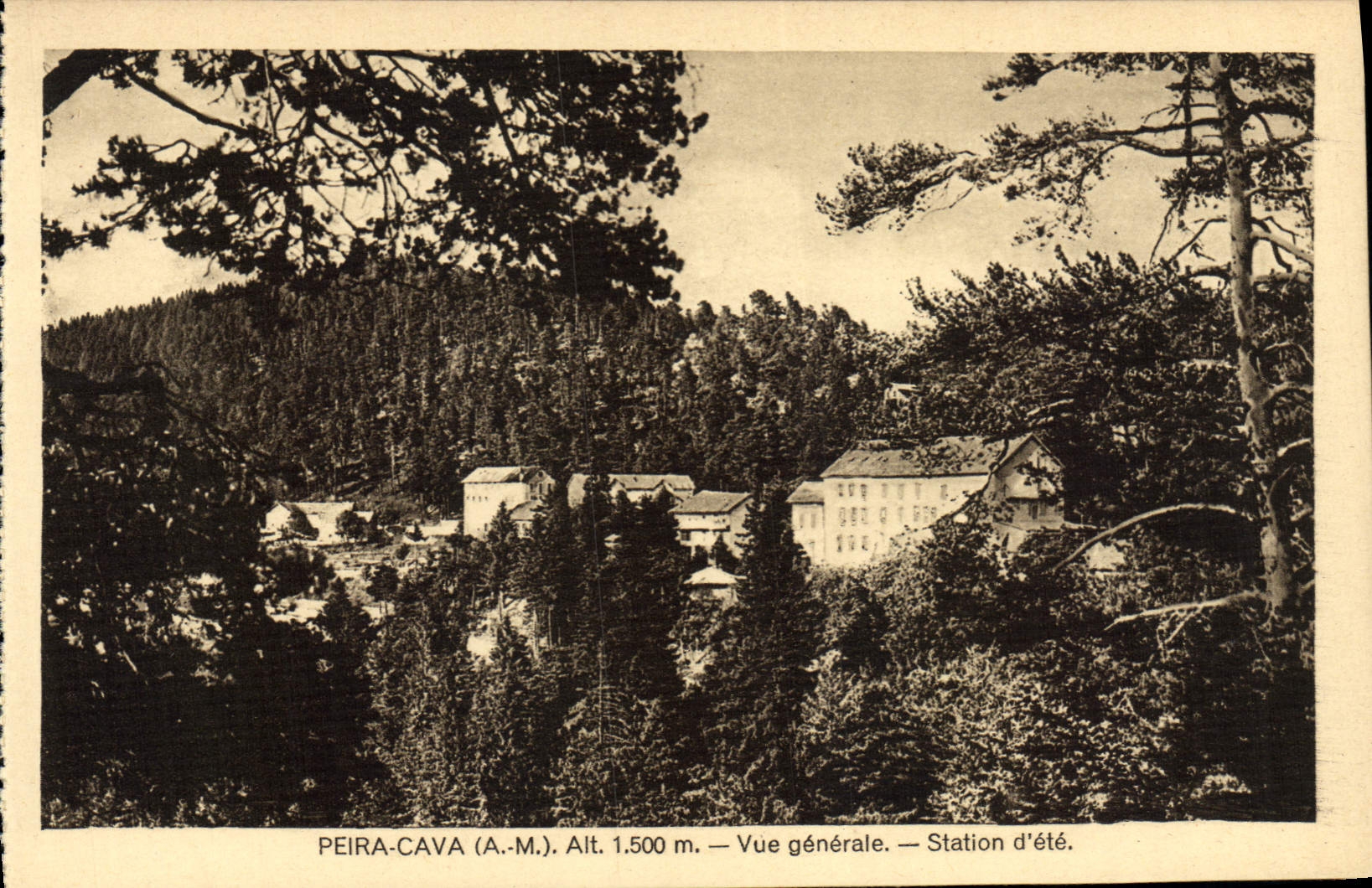 CPA Peira Cava Vue Generale