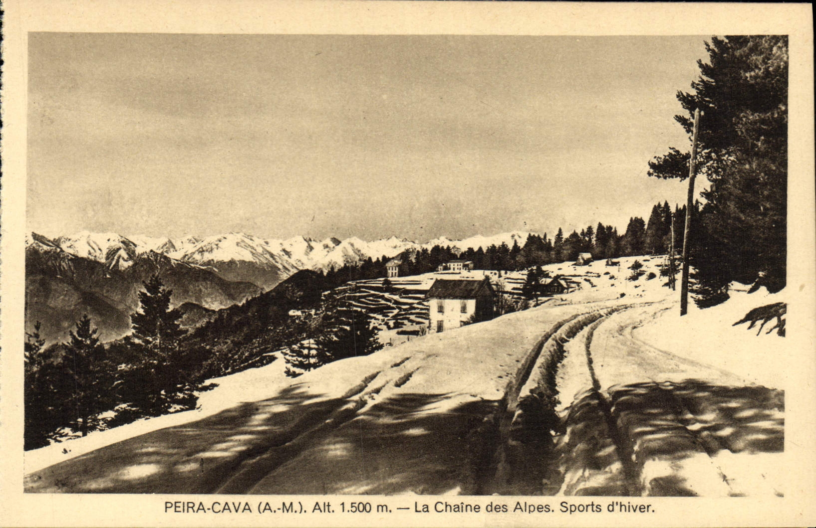 CPA Peira Cava La chaine des Alpes 